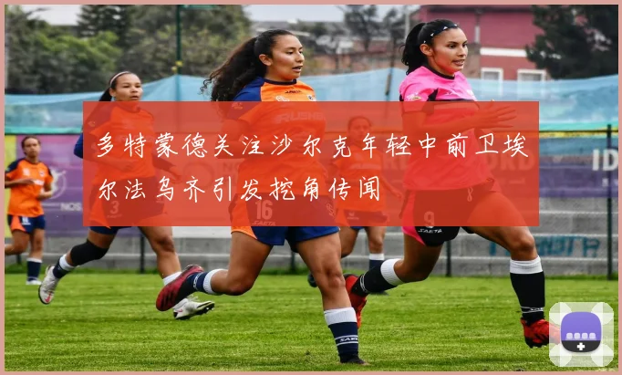 多特蒙德关注沙尔克年轻中前卫埃尔法乌齐引发挖角传闻